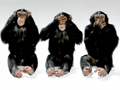 the-3-monkeys